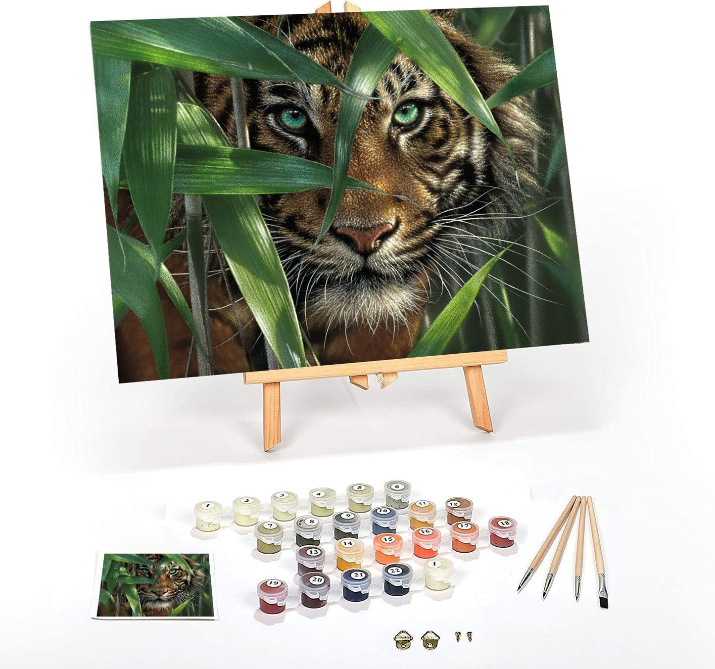 Sacred Scrubs Creative Series Premium Paint-by-Numbers Kit
