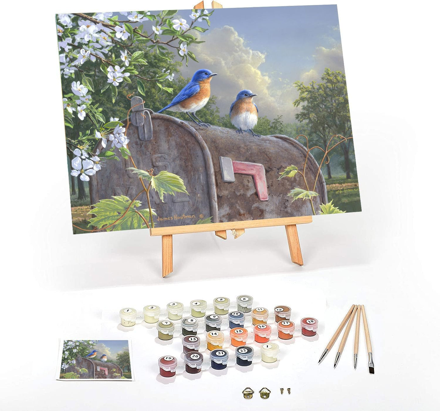 Sacred Scrubs Creative Series Premium Paint-by-Numbers Kit