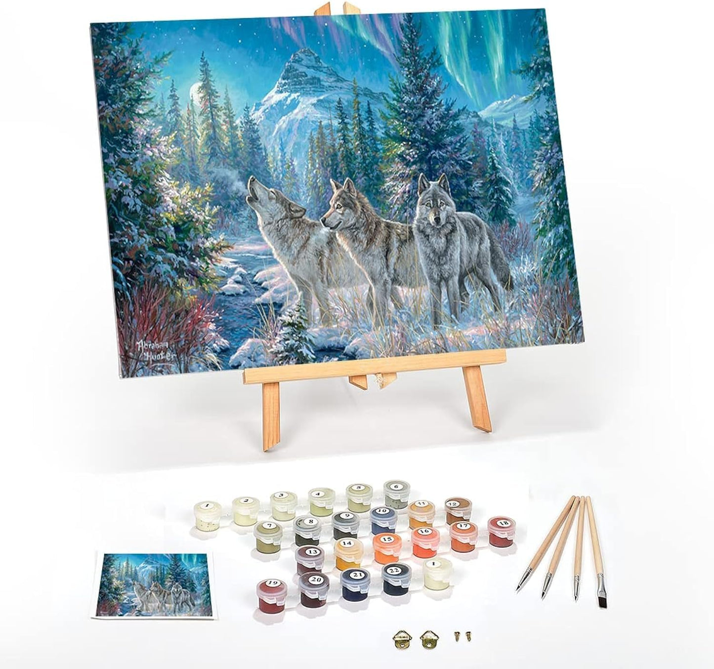 Sacred Scrubs Creative Series Premium Paint-by-Numbers Kit